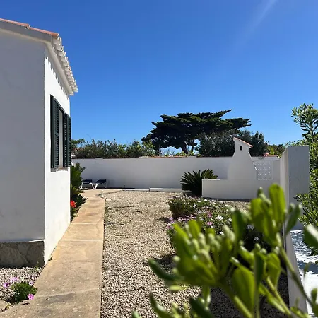 Coral Cala En Porter (Menorca)